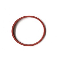 Sealing ring 469829